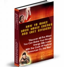 How to Make Your Home Energy And Cost Efficient (PLR) (image for) How to Make Your Home Energy And Cost Efficient (PLR)