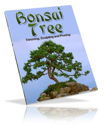 Bonsai Trees: Growing, Trimming, Sculpting & Pruning (PLR) (image for) Bonsai Trees: Growing, Trimming, Sculpting & Pruning (PLR)